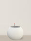 Self-watering Daisy | White