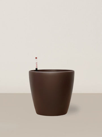 Self-watering Ava | Coffee