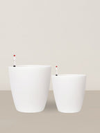 Ava | Self-watering pot