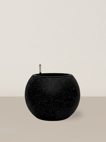 Self-watering Daisy | Black