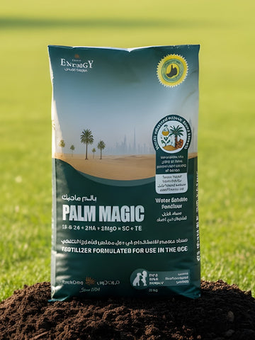 Desert Energy Palm Magic