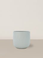 Selene | Blue